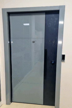  Glass Security door