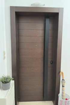 Security door wood and compact